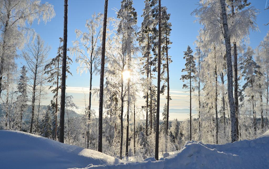 Riihivuori Cottages Муураме Номер фото